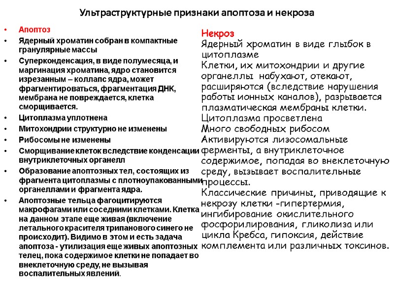 Ультраструктурные признаки апоптоза и некроза Апоптоз Ядерный хроматин собран в компактные гранулярные массы Суперконденсация,